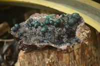 Natural Rare Ball Malachite On Drusy Quartz & Dolomite Matrix Specimens x 2 From Kambove, Congo