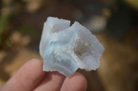 Natural Etched Blue Chalcedony Specimens  x 35 From Nsanje, Malawi