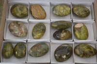 Polished Green Opal Free Forms  x 14 From Madagascar