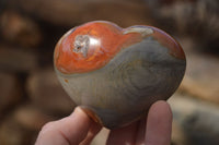 Polished Polychrome Jasper Hearts  x 6 From Mahajanga, Madagascar