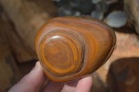 Polished Golden Tigers Eye Free Forms x 3 From Prieska, Northern Cape