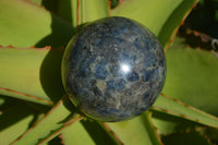 Polished Rare Iolite / Water Sapphire Spheres  x 2 From Northern Cape, South Africa - Toprock Gemstones and Minerals 