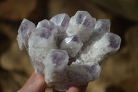 Natural Sugar Amethyst Clusters  x 4 From Solwezi, Zambia