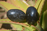 Polished Schorl Black Tourmaline Palm Stones  x 12 From Madagascar - Toprock Gemstones and Minerals 