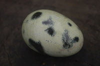 Polished Spotted Leopard Stone Eggs x 8 From Nyanga & Shamva, Zimbabwe - Toprock Gemstones and Minerals 