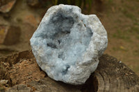 Natural Gorgeous Crystalline Pale Blue Celestite Geode Specimen  x 1 From Sakoany, Madagascar - TopRock