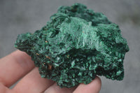 Natural Chatoyant Silky Malachite Specimens  x 6 From Kasompe, Congo - TopRock