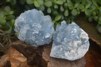 Natural Blue Celestite Crystal Specimens  x 3 From Sakoany, Madagascar - Toprock Gemstones and Minerals 