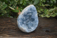 Polished Blue Celestite Crystal Centred Egg x 1 From Sakoany, Madagascar - Toprock Gemstones and Minerals 