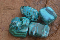 Polished Stunning Malacholla Free Forms  x 35 From Congo - Toprock Gemstones and Minerals 