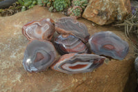 Polished River Agate Nodules  x 6 From Sashe River, Zimbabwe