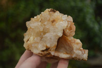 Natural Golden Hematoid Quartz Clusters  x 6 From Zambia - TopRock