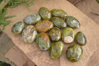 Polished Green Opal Free Forms  x 14 From Madagascar