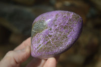 Polished Stichtite & Serpentine Standing Free Forms x 4 From Barberton, South Africa