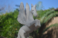 Polished White Marble Pegasus Carving x 1 From Zimbabwe