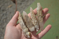 Natural Drusy Quartz Coated Calcite Crystals  x 12 From Alberts Mountain, Lesotho - Toprock Gemstones and Minerals 