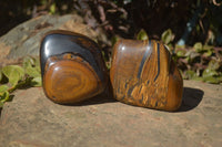 Polished Golden Tigers Eye Free Forms x 3 From Prieska, Northern Cape