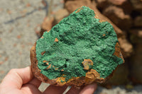 Natural Micro Botryoidal Malachite on Matrix Specimens  x 2 From Tenke Fungurume, Congo - TopRock