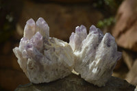 Natural Sugar Amethyst Clusters  x 4 From Solwezi, Zambia