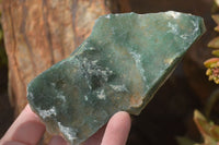 Natural Emerald Mtorolite Plates x 6 From Mutorashanga, Zimbabwe