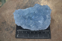 Natural Blue Celestite Crystal Specimens  x 3 From Sakoany, Madagascar - Toprock Gemstones and Minerals 