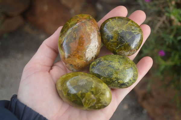 Polished Green Opal Free Forms  x 14 From Madagascar