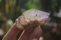 Polished Single Window Amethyst Crystals x 20 From Ankazobe, Madagascar