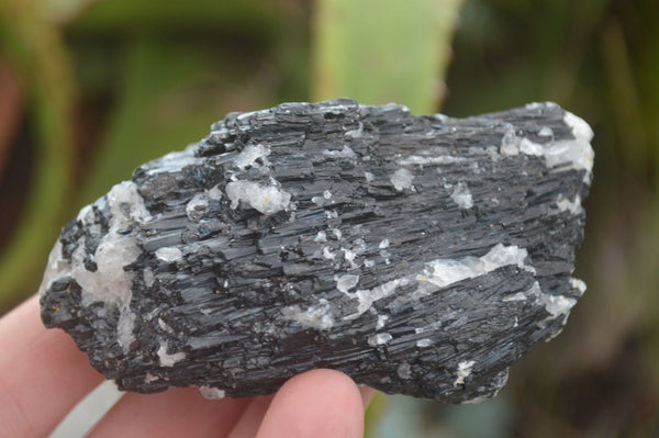 Natural Schorl Black Tourmaline Matrix Specimens  x 12 From Zambia - TopRock