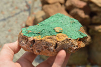 Natural Micro Botryoidal Malachite on Matrix Specimens  x 2 From Tenke Fungurume, Congo - TopRock