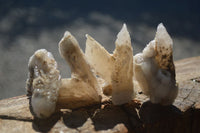 Natural Drusy Quartz Coated Calcite Crystals  x 12 From Alberts Mountain, Lesotho - Toprock Gemstones and Minerals 