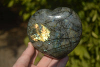 Polished  Puffy Labradorite Gemstone Hearts  x 2 From Tulear, Madagascar