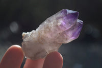 Natural Amethyst Window Quartz Crystals  x 12 From Chiredzi, Zimbabwe