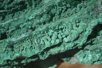 Natural Botryoidal Crystalline Malachite Specimens  x 2 From Kolwezi, Congo