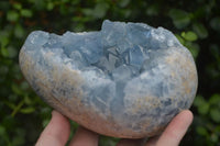 Polished Blue Celestite Crystal Centred Egg x 1 From Sakoany, Madagascar - Toprock Gemstones and Minerals 