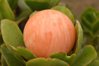 Polished Vibrant Orange Twist Calcite Sphere x 1 From Madagascar - TopRock