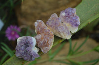 Natural Mini Dark Purple Amethyst Specimens  x 70 From Zambia - Toprock Gemstones and Minerals 