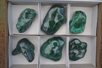 Polished Malachite Free Forms With Stunning Flower & Banding Patterns x 6 From Congo - TopRock