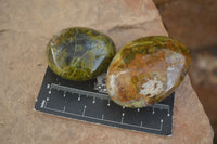 Polished Green Opal Free Forms  x 14 From Madagascar