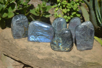 Polished Rare Purple Sunset Labradorite Standing Free Forms  x 6 From Sakoany, Madagascar - TopRock