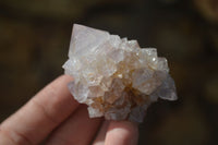 Natural Spirit Amethyst Quartz Clusters  x 12 From Boekenhouthoek, South Africa - Toprock Gemstones and Minerals 