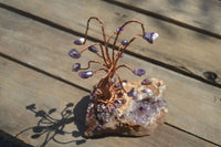 Polished Amethyst & Copper Gemstone Tree On Amethyst Basalt Specimen  x 1 From Zululand, South Africa - TopRock