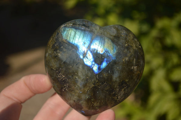 Polished  Puffy Labradorite Gemstone Hearts  x 2 From Tulear, Madagascar