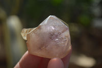 Polished Single Window Amethyst Crystals x 20 From Ankazobe, Madagascar