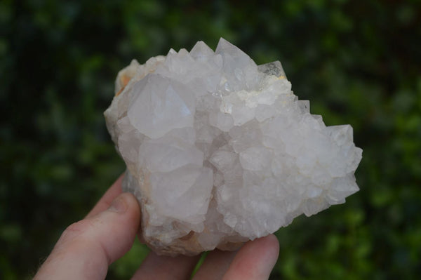 Natural Large White Cactus Flower Spirit Quartz Clusters  x 3 From Boekenhouthoek, South Africa - Toprock Gemstones and Minerals 