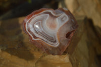 Polished River Agate Nodules  x 6 From Sashe River, Zimbabwe