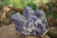 Natural Dark Purple Amethyst Clusters  x 3 From Mapatizya, Zambia - TopRock