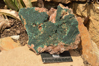 Natural Micro Botryoidal Malachite on Matrix Specimens  x 2 From Tenke Fungurume, Congo - TopRock