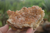 Natural Golden Hematoid Quartz Clusters  x 6 From Zambia - TopRock