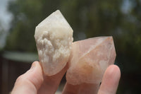 Natural Cascading Pineapple Quartz Crystals  x 24 From Madagascar - TopRock