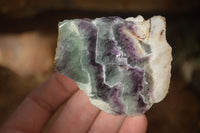 Polished  One Side Polished Watermelon Fluorite Pieces  x 6 From Uis, Namibia